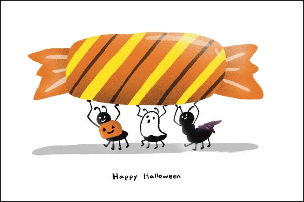 Ant Candy Parade: Color Trials in Progress