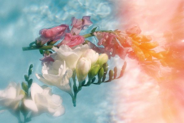 On Beauty, and Coming Back