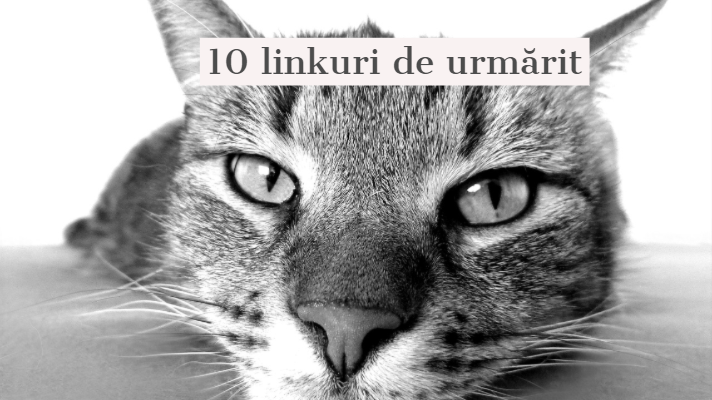 10 linkuri de urmărit - 12 iulie 2019