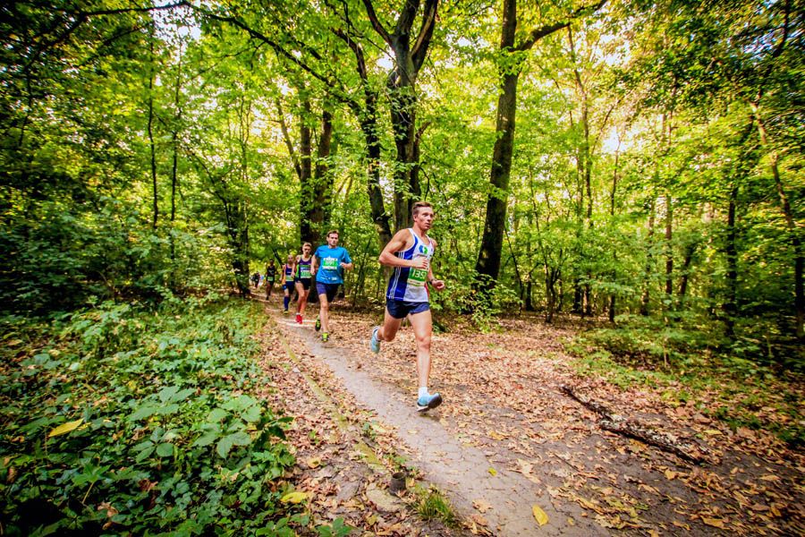 Baneasa Autumn Trail Run 2016