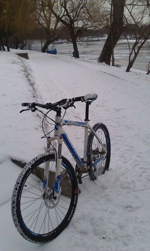 Cu viteză prin zăpadă