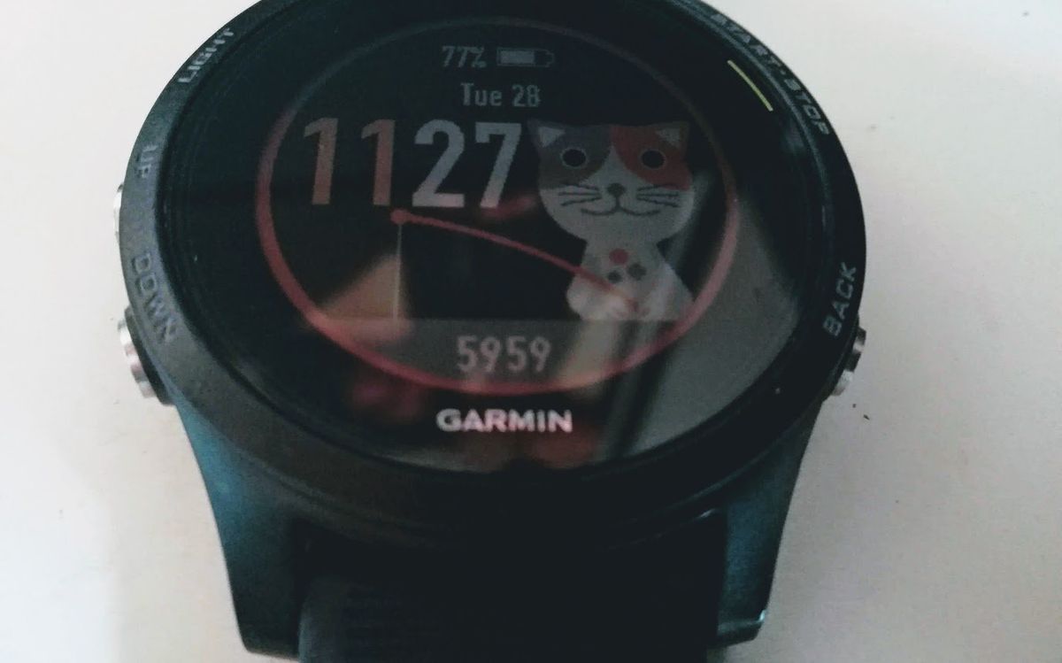 Garmin Forerunner 935 - face