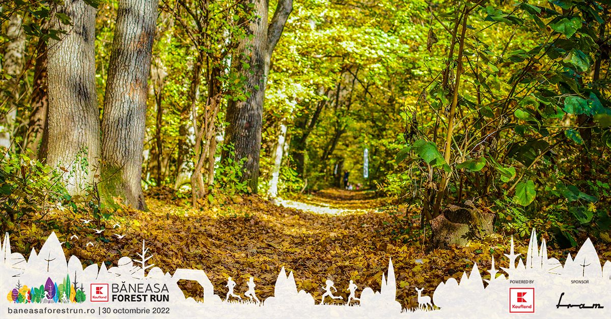 Kit super tare la Băneasa Forest Run din 30 octombrie