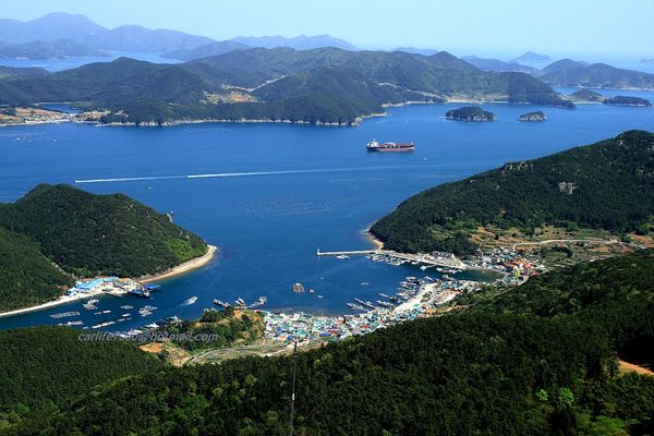 Pierduți în clasament. Aventurile triatloniştilor români la Tongyeong