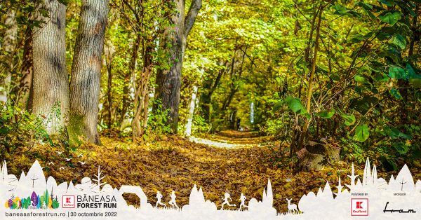 Kit super tare la Băneasa Forest Run din 30 octombrie