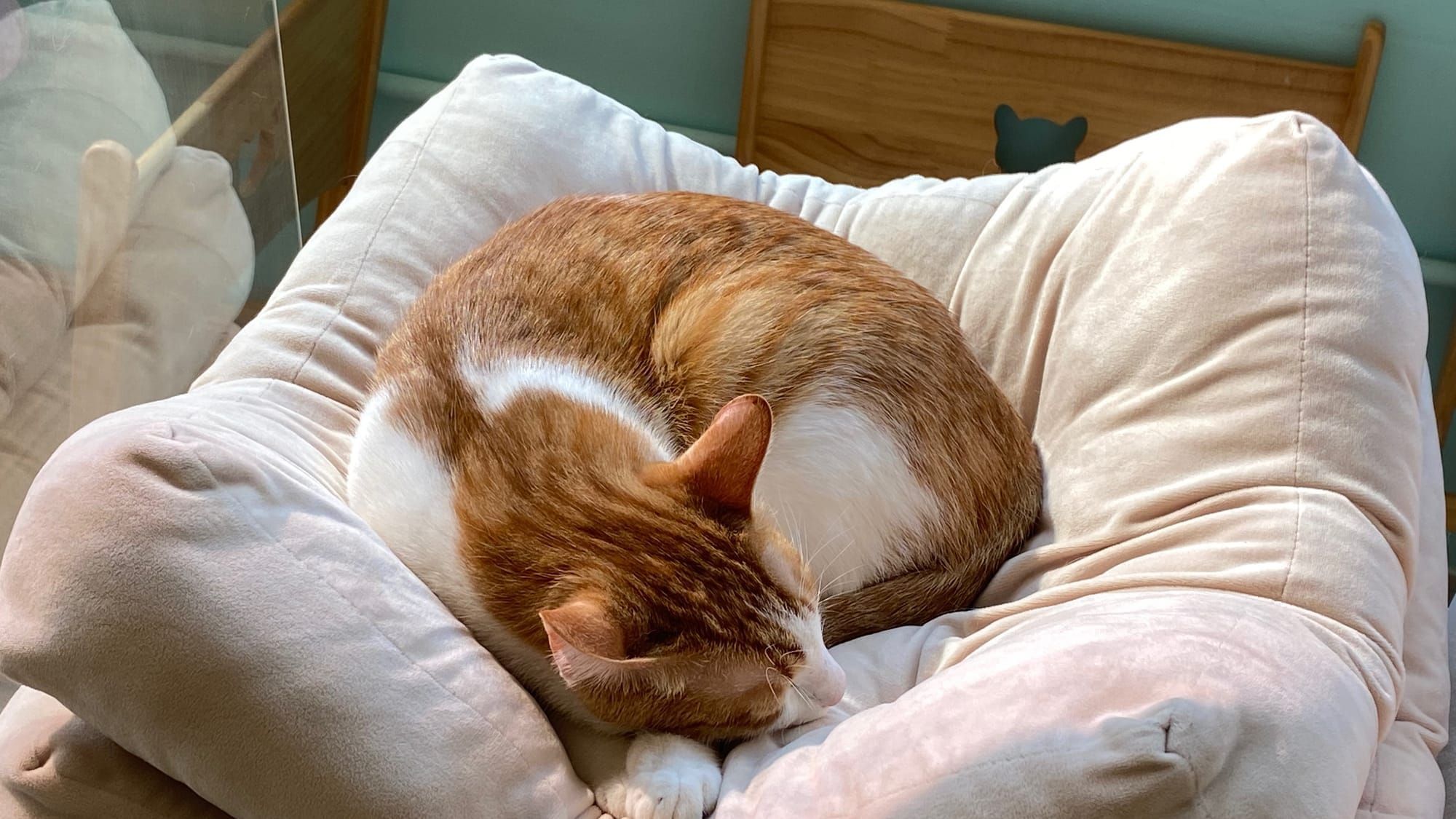 You don't need to stay up 24 hours for the OSCP exam.