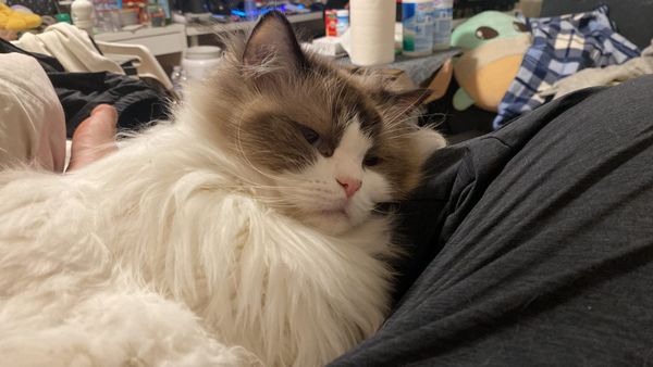 How to actually hack 2x faster (terminal edition)