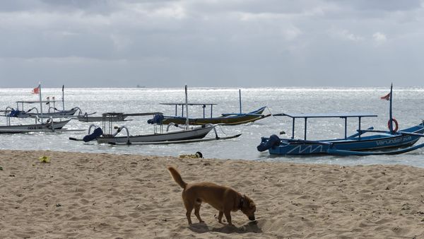 How to Avoid Most Traps in Cyber Security with Game Theory