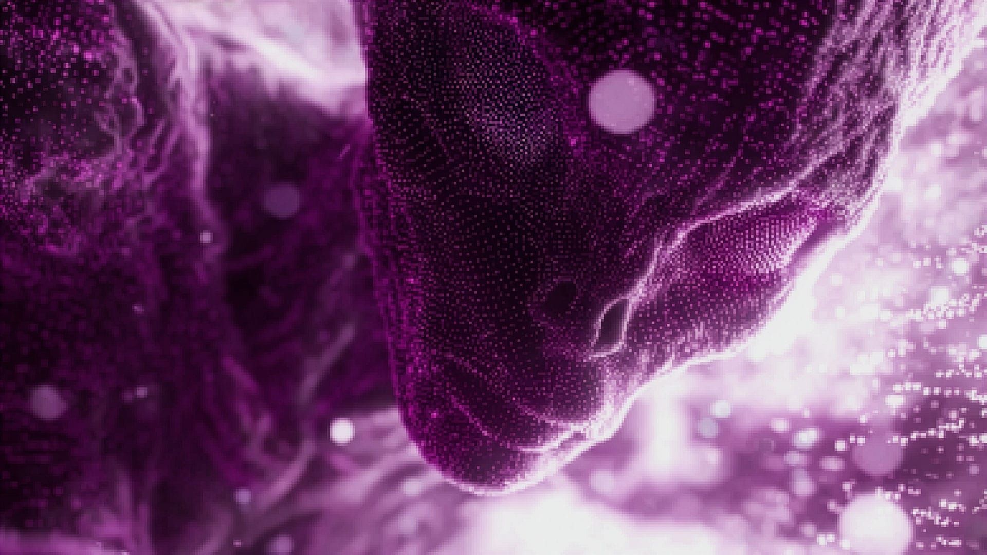 1.6: Supreme (Winter 2027)