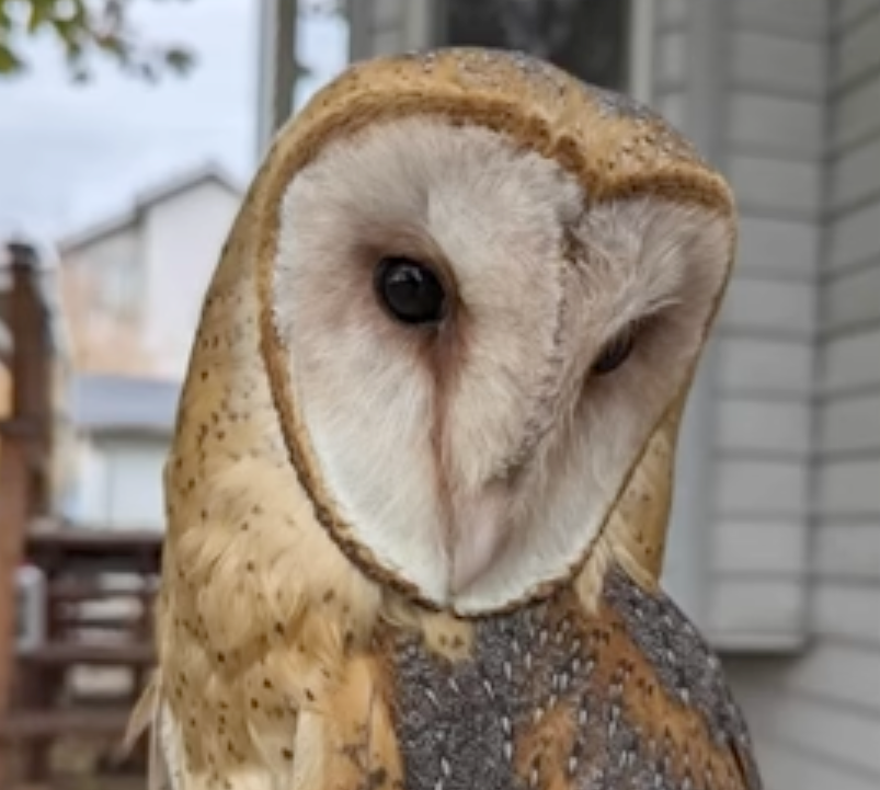 The Secrets of Skinwalker Ranch