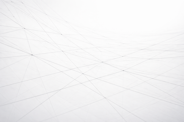 1 | A company's operating system: a practical model for scaling organizations