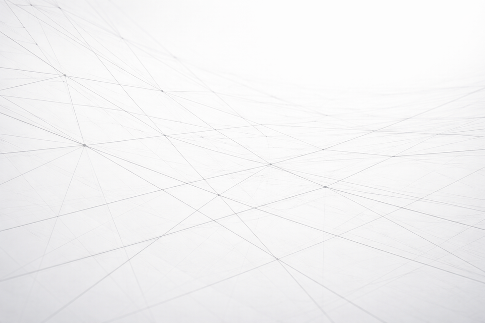 A company's operating system: a practical model for scaling organizations