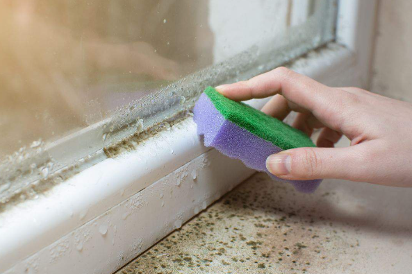 Is Mould and Damp the Tenant’s Fault? A Closer Look at Responsibility