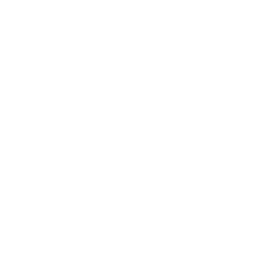 viralbitt