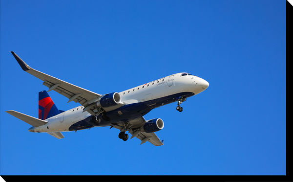 Sources Say Airline Ran Out Of Beer Flying Scotland Fans To The World Cup