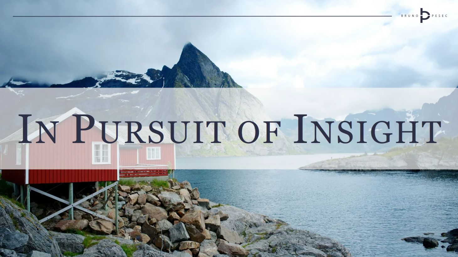 In pursuit of insight