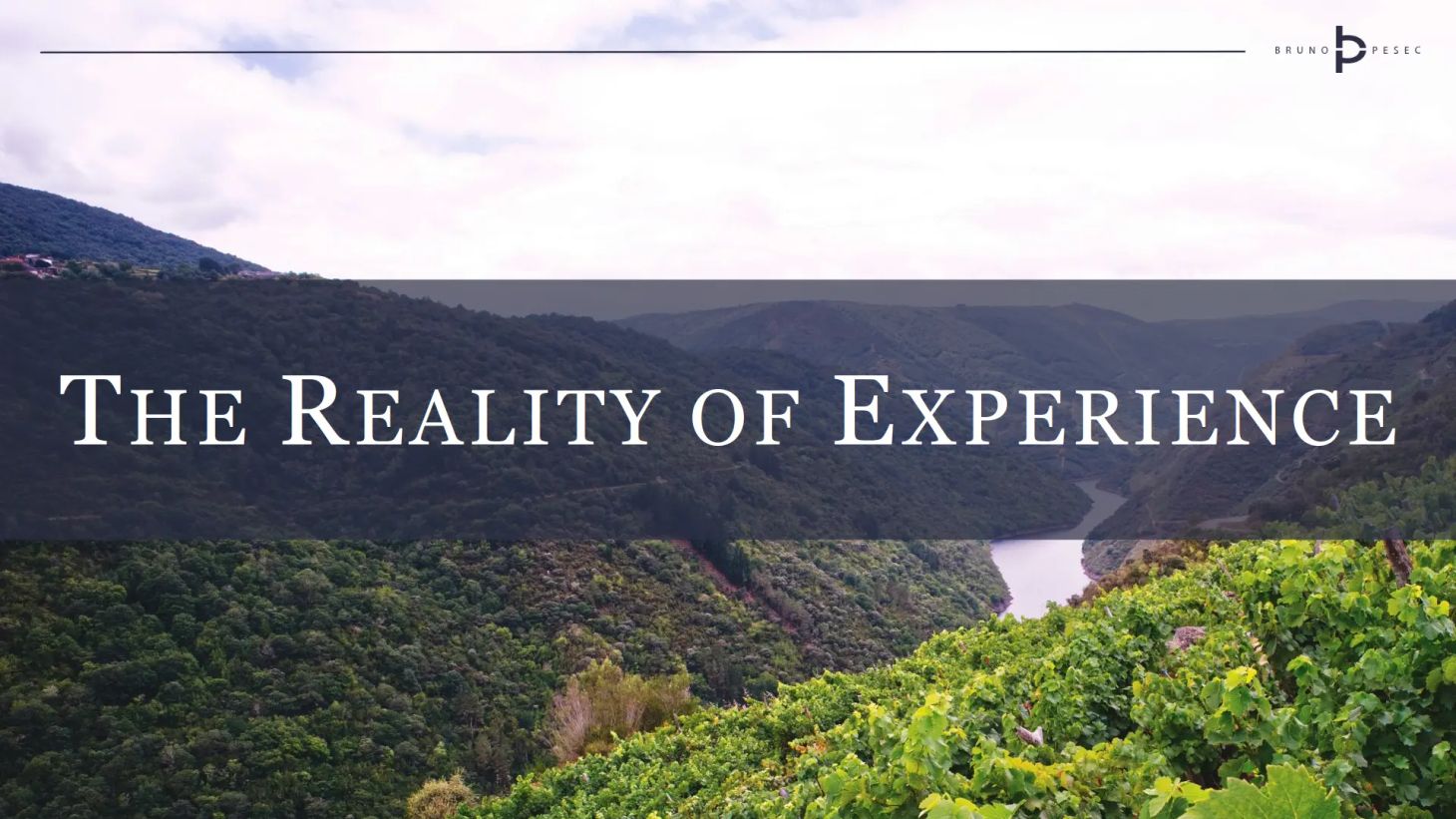 The reality of experience