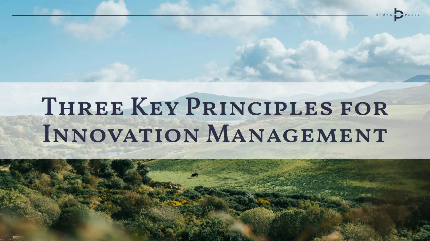 Three key principles for innovation management