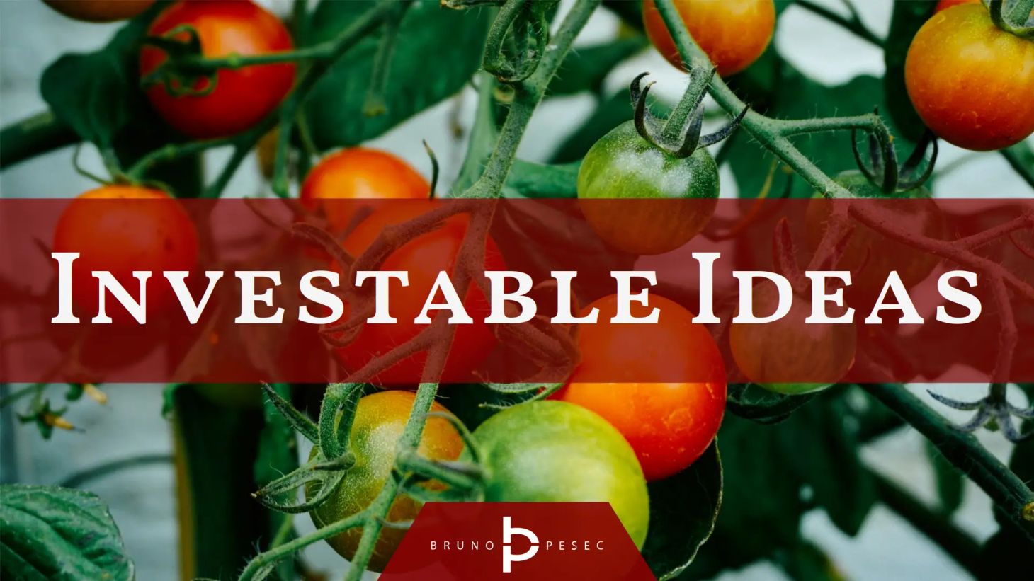 Investable ideas