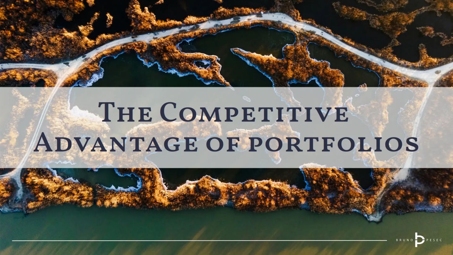 The competitive advantage of portfolios