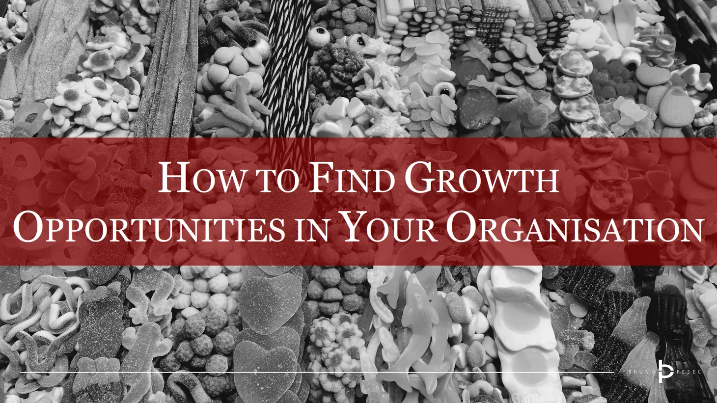 How to find growth opportunities in your organisation