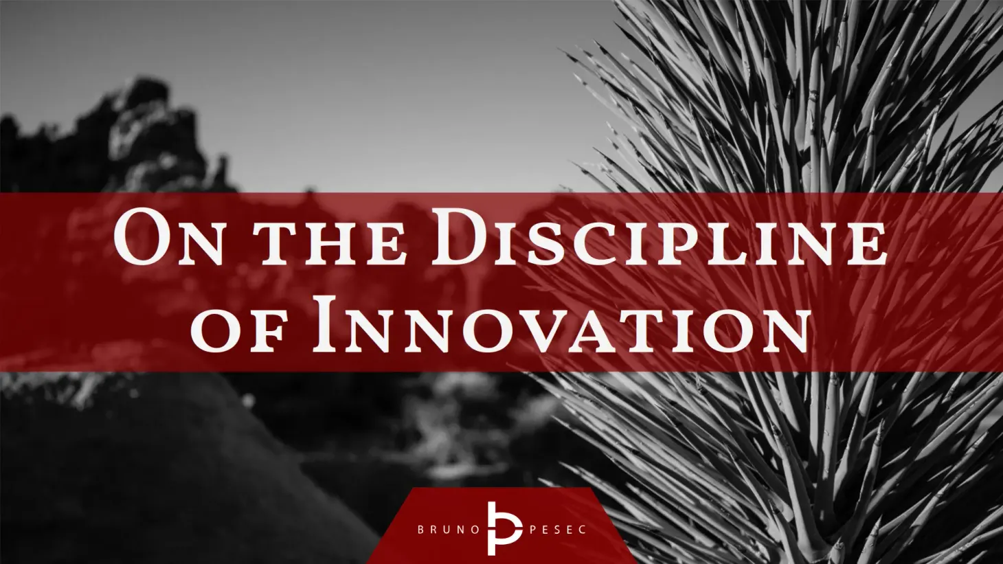 On the discipline of innovation