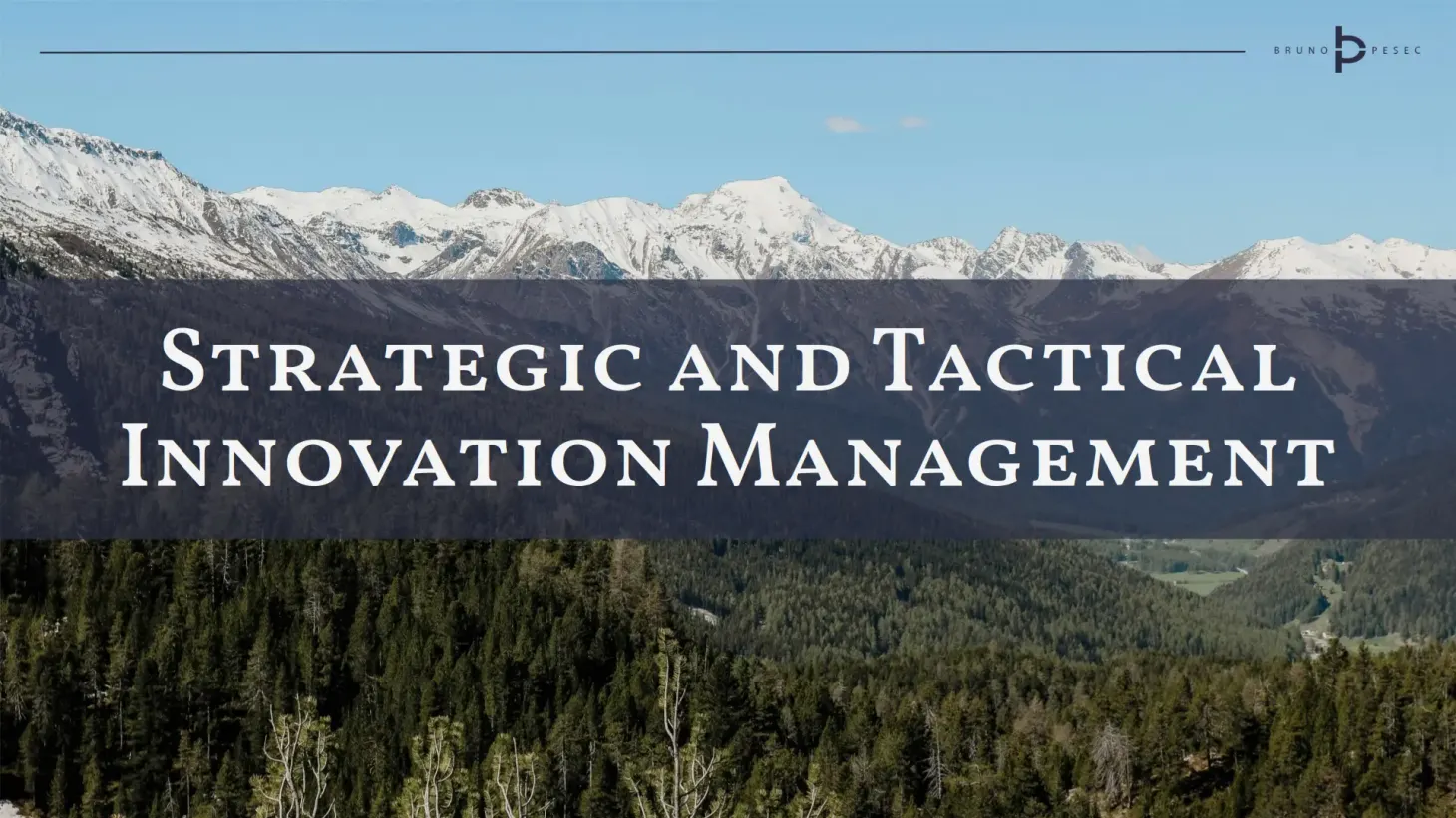 Strategic and tactical innovation management