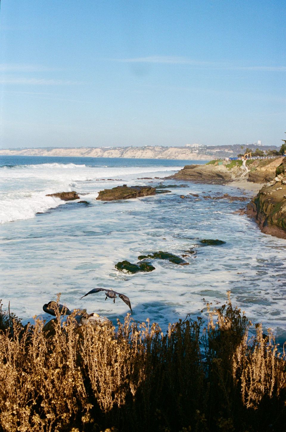 San Diego California 2023