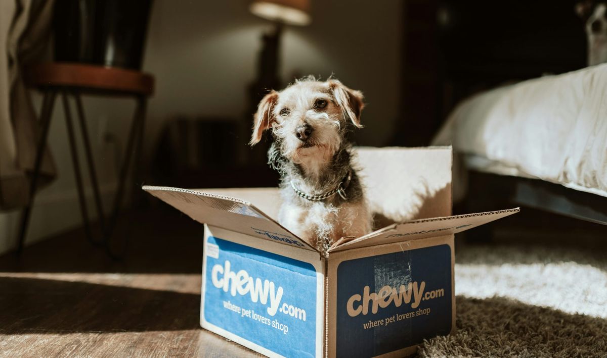 Dog food marketing. How pet brands and retailers make millions of consumer confusion.