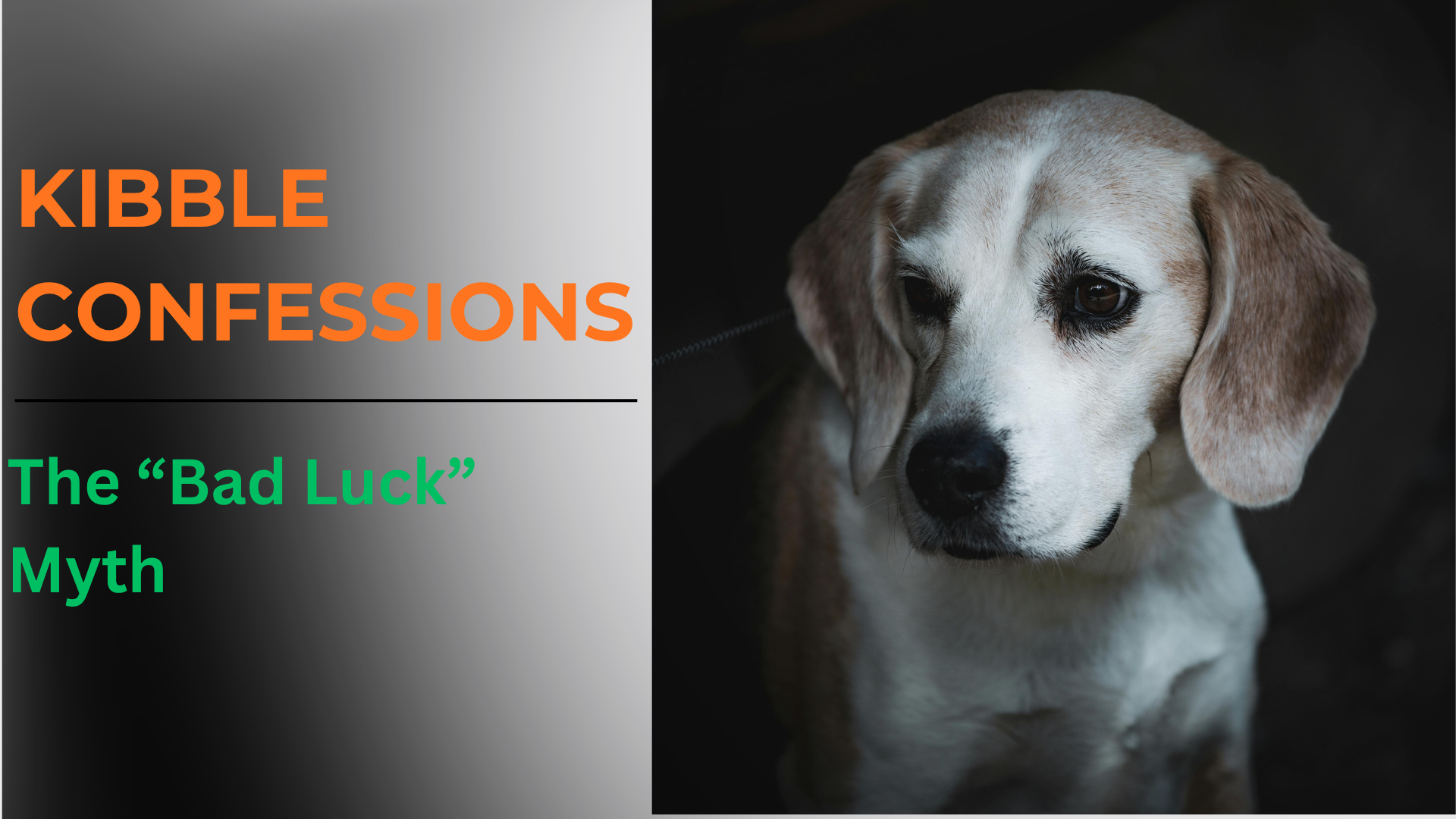A striking blog graphic for Roast My Kibble under the banner "KIBBLE CONFESSIONS: The 'Bad Luck' Myth," featuring a dog sitting calmly under a dark, dramatic stormy s