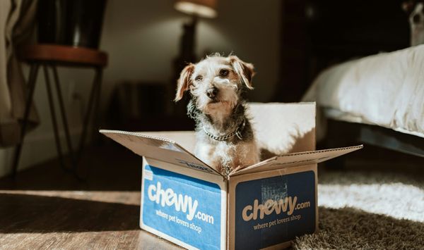 Dog food marketing. How pet brands and retailers make millions of consumer confusion.