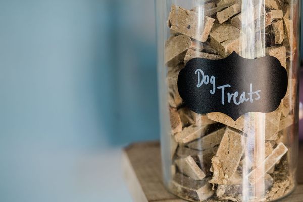 Freeze dried organ meat for dogs. freeze dried dog treats