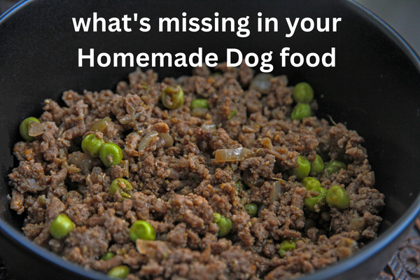 Is Your Homemade Dog Food Missing This? The Deficiency Most Home Cookers Overlook