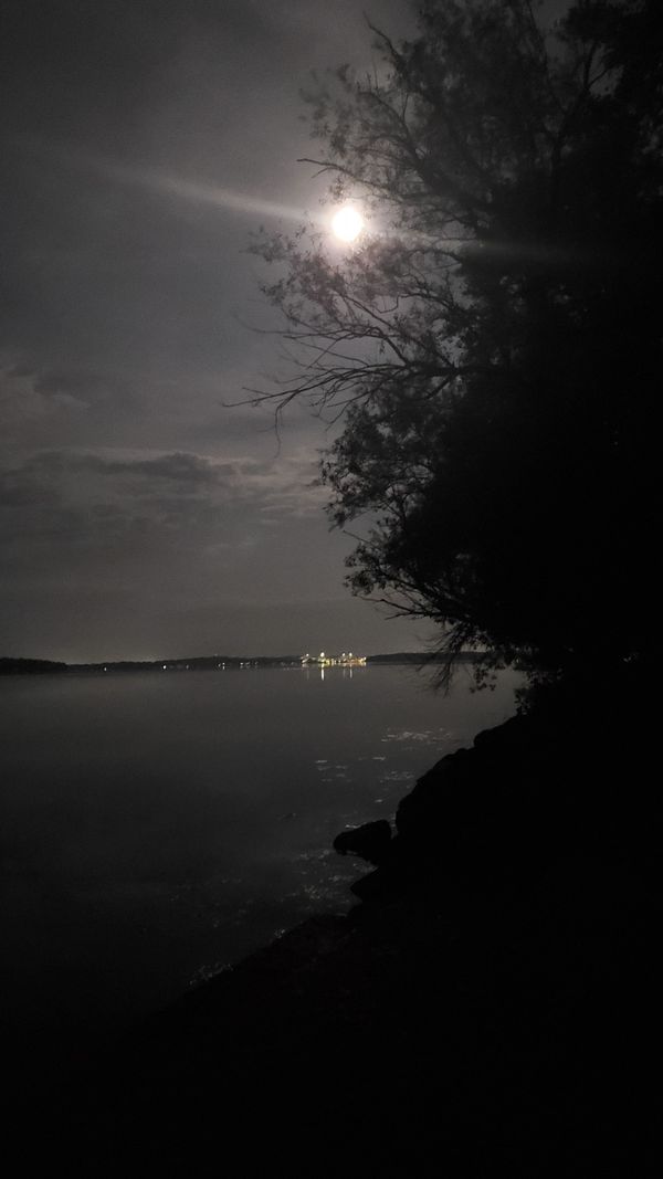 Longing and Dreading