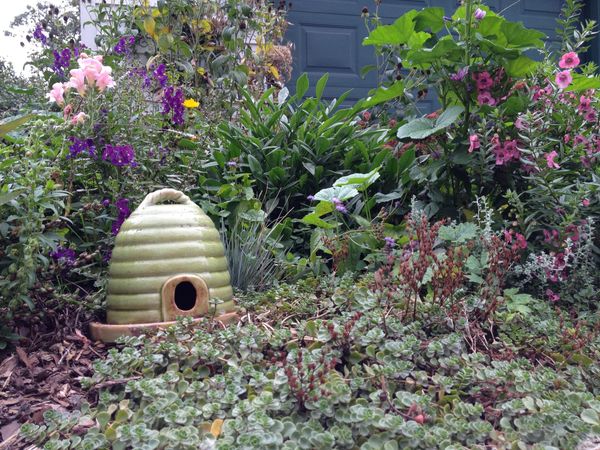 A lush garden with flowers and creeping groundcover and at the center is something that looks like a yellow beehive but is a frog house.