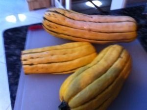 Delicata Squash