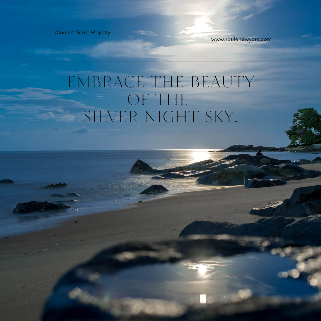Moonlit silver light