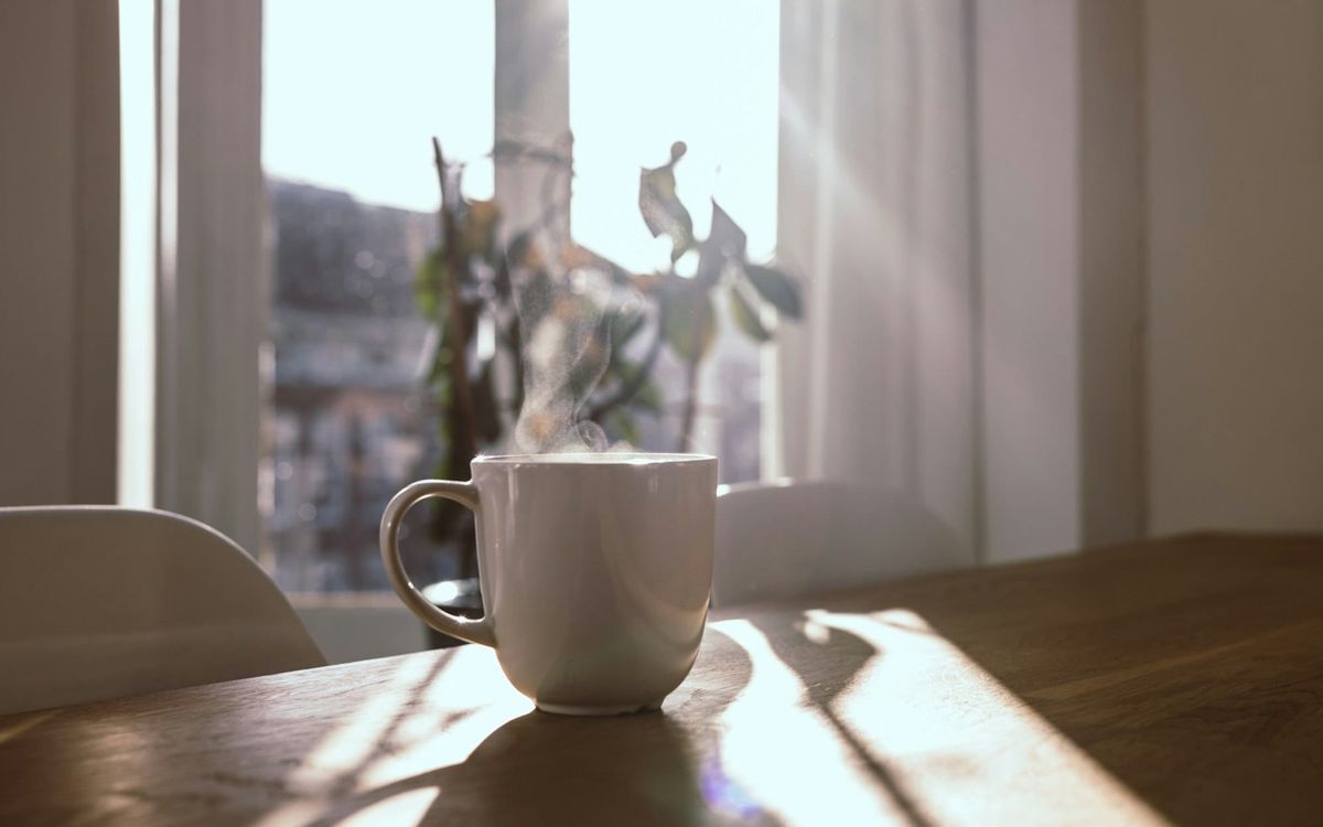 A steaming white cup in soft morning light by the window