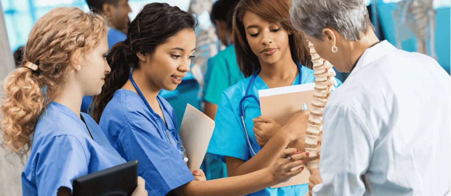 Altenpflegehelferinnen betrachten Wirbelsäulenaufbau in der Ausbildung