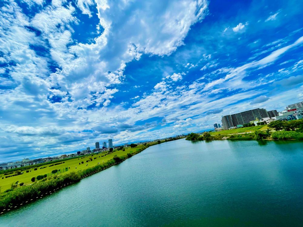 Suddenly Slow Spring Spinning