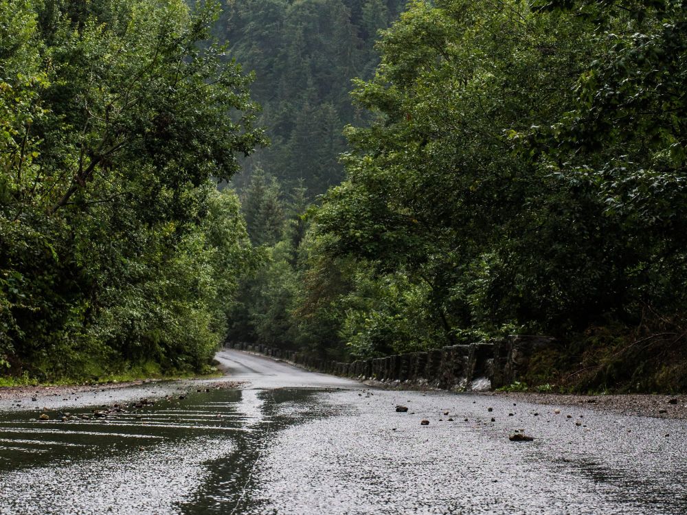 Stormy Saturday Strides