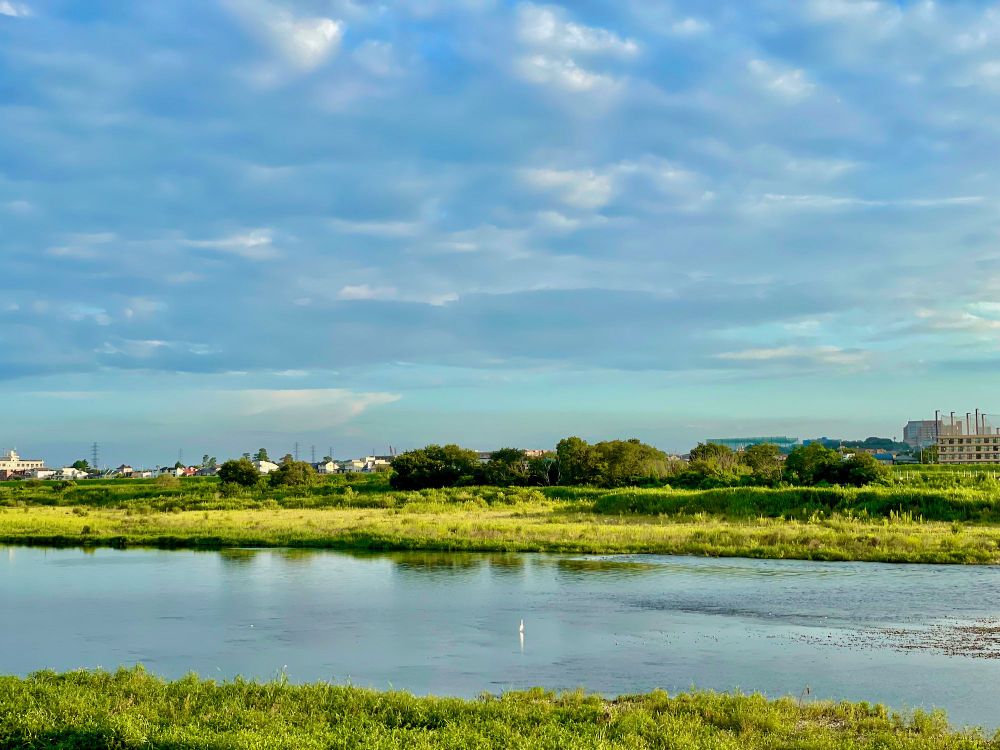 Welcome Back Wednesday