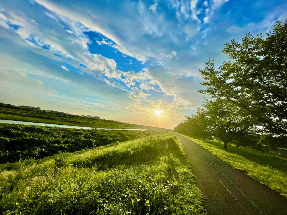 Maishu (毎週) Merry Monday