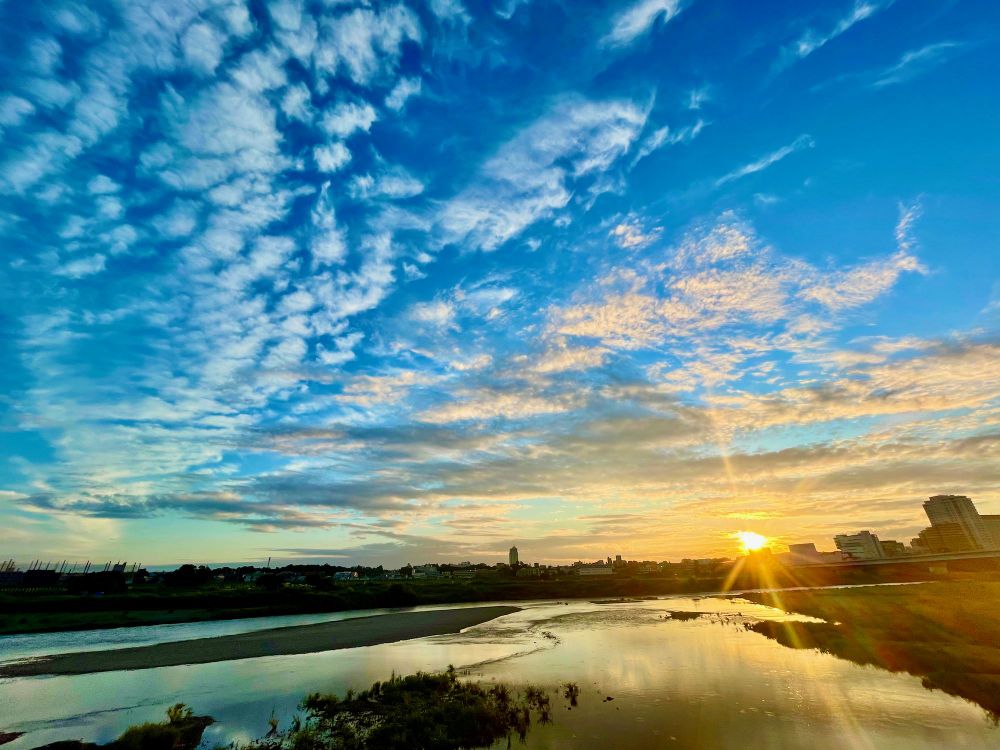 Marvelous Monday Morning Madness