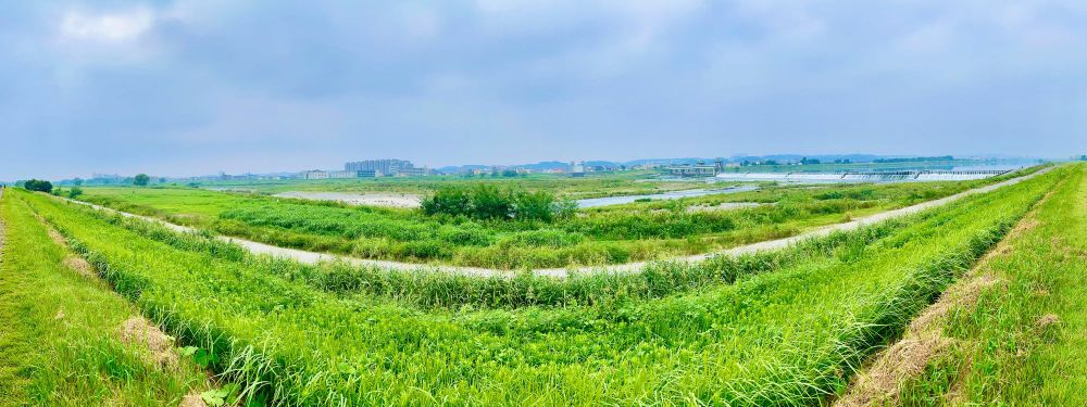 Sufficient Saturday Saddle Straddle