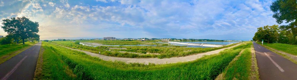 Thrilling Tuesday Tripping