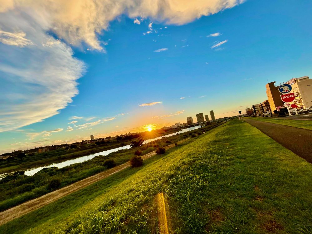 Tinct Thursday Tripping