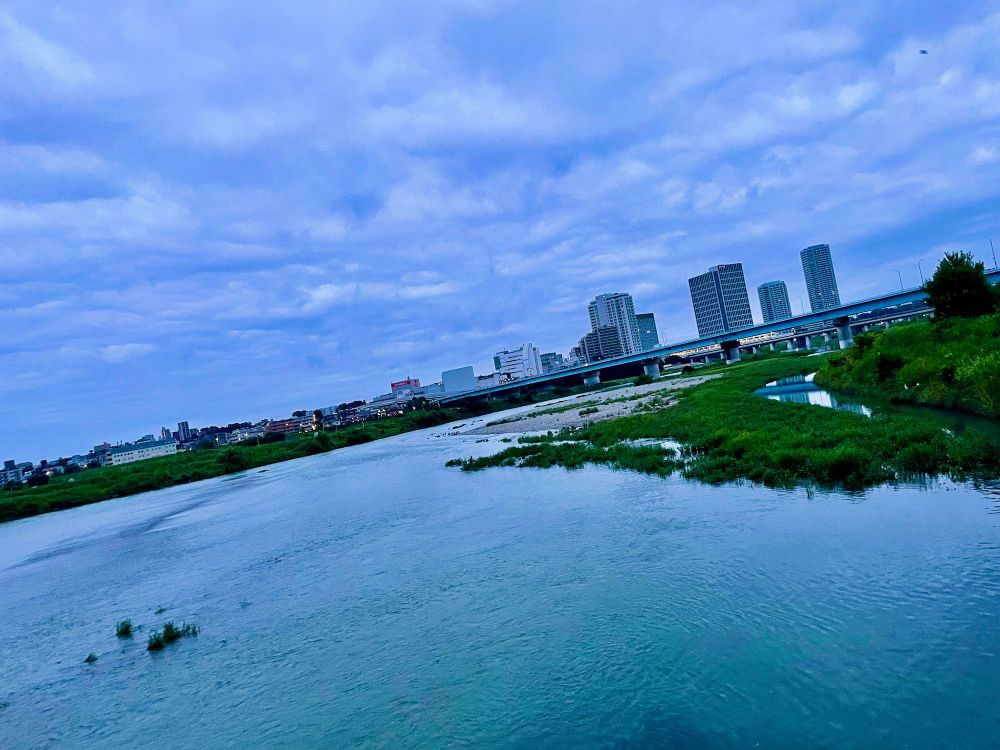 Monday Momentary Maneuvers