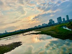 Trials & Tribulations Thursday