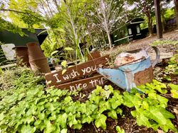 Camping in Nagatoro: Psychological Vacation